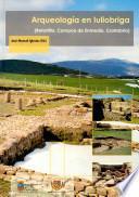 libro Arqueología En Iuliobriga